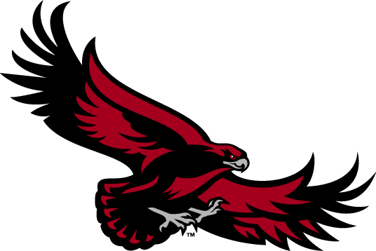 St.JosephsHawks 2001-Pres Alternate Logo 04 vinyl decal